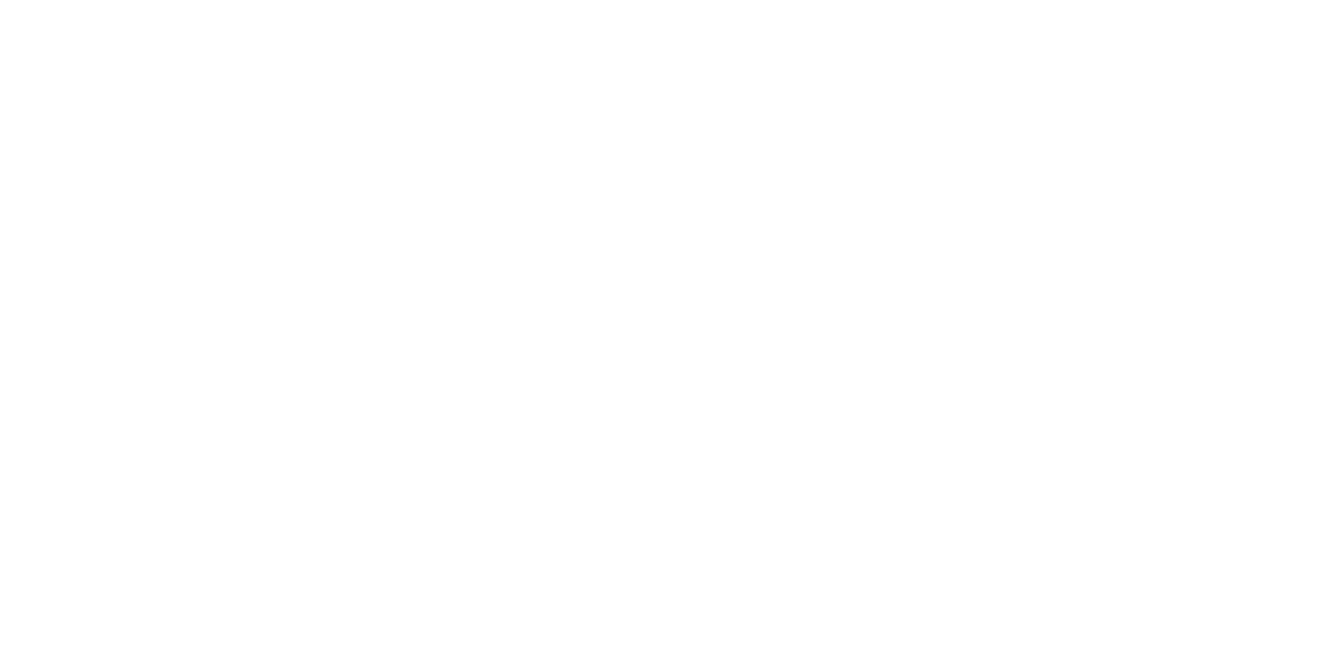 neolith-1